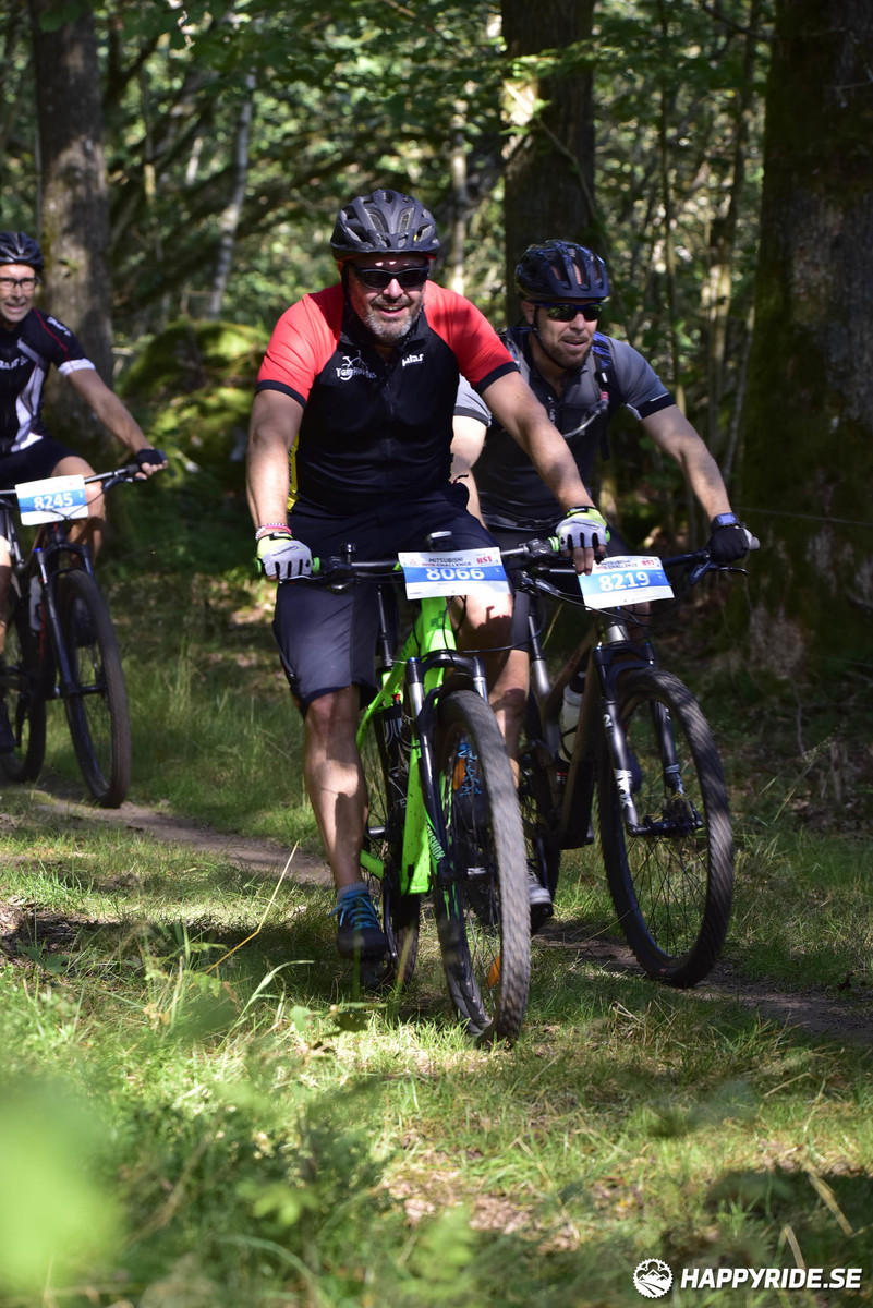 Bild från Bockstensturen 2019